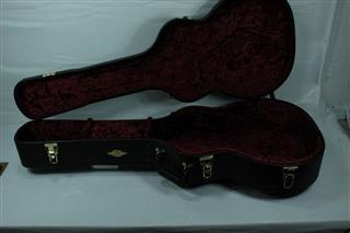TAYLOR GUITARS 214CE DLX
